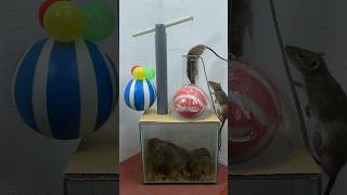 Homemade Mouse Trap With Plastic Ball // Mouse Trap 2 #Rat #Rattrap #Mousetrap #Shorts