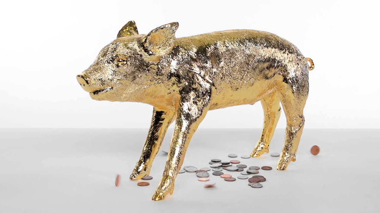 Areaware Pig Bank By Harry Allen Youtube - areaware pig bank by harry allen youtube -