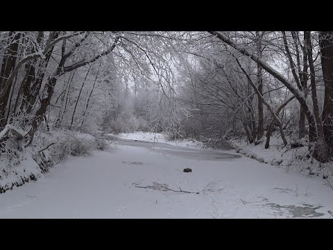 Видео: Два дні рибалю на річці в лісі \ частина 2