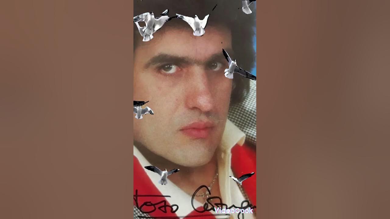 Кругозор 1983. Тото кутуньо концерт 2023. Тото альбомы. Боярский о тото кутуньо. Тото кутуньо евровидение.