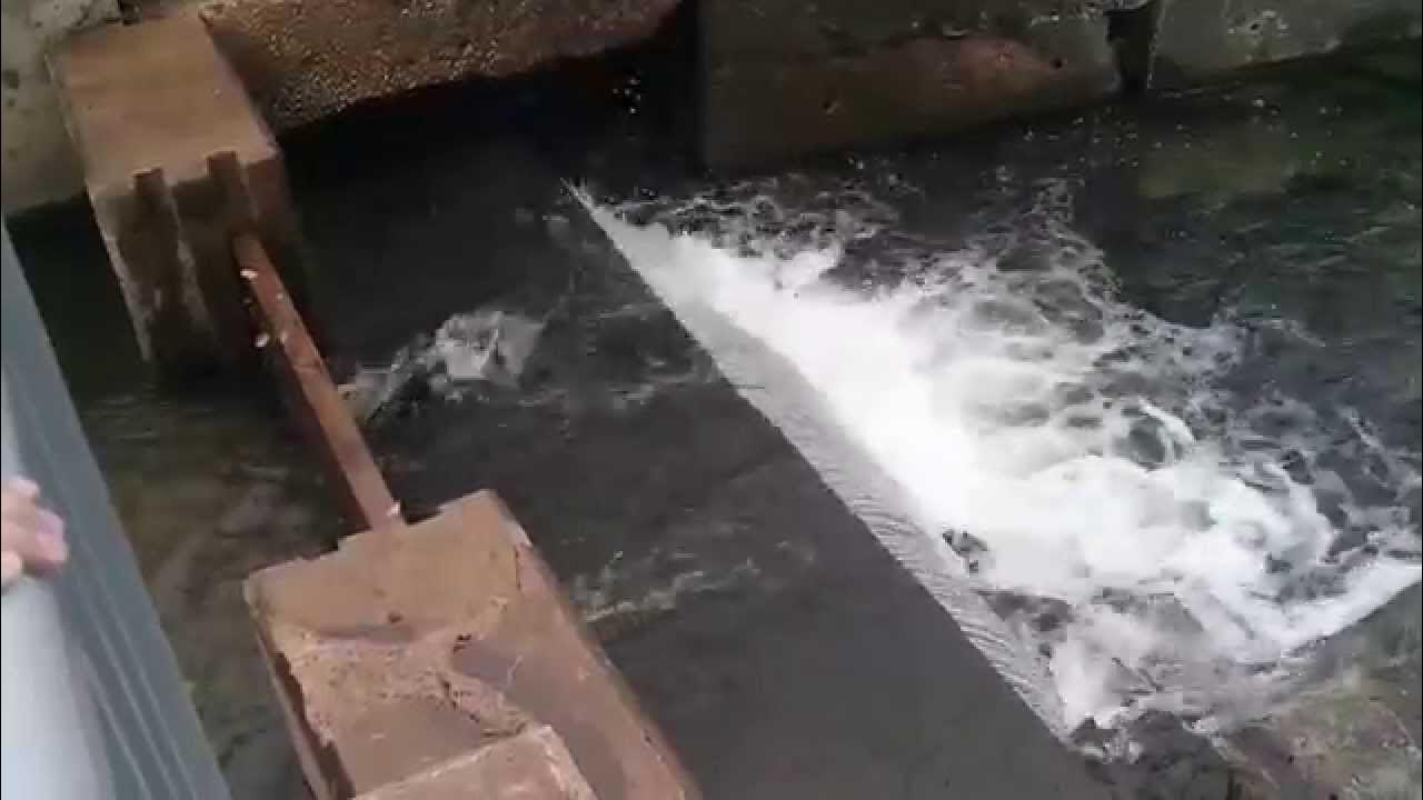 Trout Run Erie PA YouTube