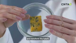 Download Lagu CNTA: OUR PURPOSE TRANSFORMING THE FUTURE OF FOOD MP3