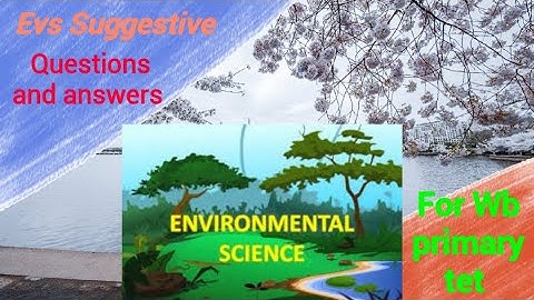 Wb primary tet 2022 ll Evs Pedagogy Suggestive questions & Ans. @wasimacademy#urdu #cdp #Eng.