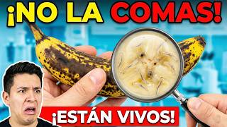 ¡El Plátano que NUNCA Debes Comer!