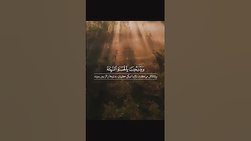 🌿 سوره رعد، آیه ۲۲ 🌱🌿 گوینده: بهروز رضوی 🌱🌿 مترجم: مسعود ریاعی 🌱