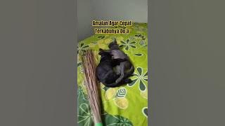 Means of Answering Prayers #preaching #advice #sermons