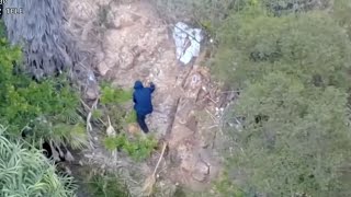 Deputies arrest Spring Valley palm tree arson suspect with help from drones | NBC 7 San Diego