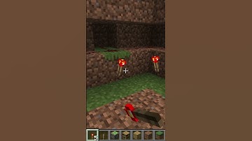 Enchanted Room in Minecraft