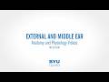 How Your Ear Works: Anatomy of the External and Middle Ear Explained