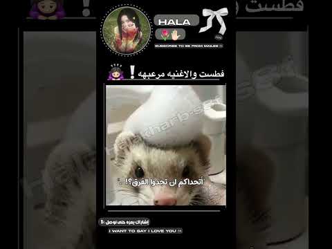 اه ليله اه ليلاس الاغنيههه مرعبهه