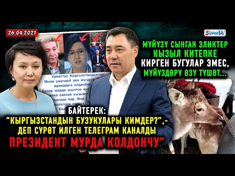 Video: Элик мүйүздөрү. Эликтин жашын мүйүзүнөн кантип аныктоого болот? Элик мүйүзүн качан төгөт?