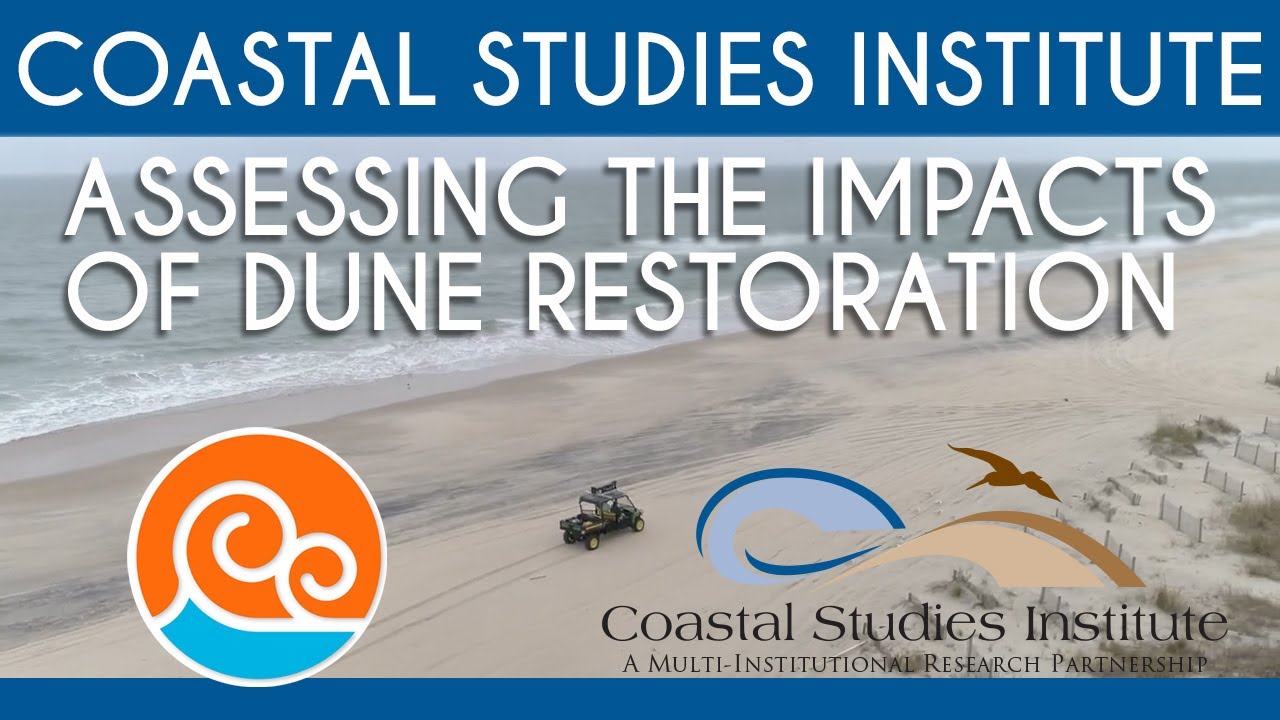 Coastal Studies Institute - Assessing the Impacts of Dune Restoration ...