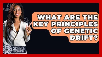 What Are The Key Principles Of Genetic Drift? - Science Through Time