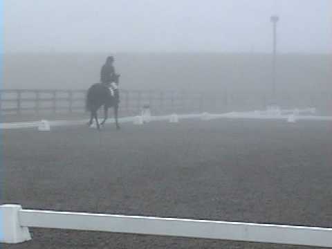 samantha dressage