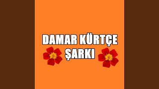 Damar Kürtçe Şarkı (Tu Nızani)