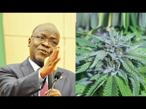 Rais Magufuli Amtaka Waziri Kuvuta Bangi