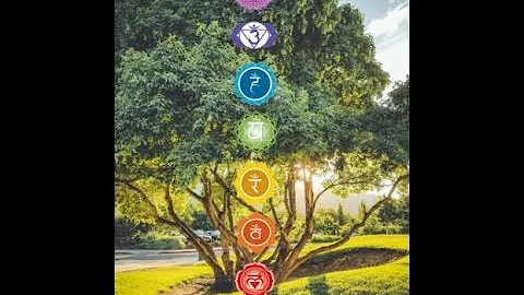 Chakras and Essentail Oils: Manifesting Abundance