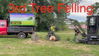 Felling the 3rd Rotten Tree - Part 2 of 7