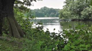 Lakes 12