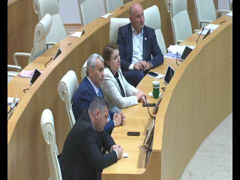 ირმა ინაშვილის გამოსვლა პარლამენტში - 7/09/2019