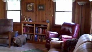 LAKE FRONT PROPERTY FOR SALE !!! Junction City, Ca. Trinity County.wmv
