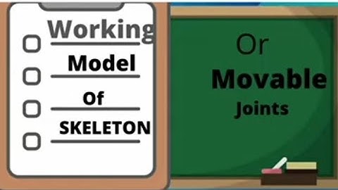 How to make skeleton, Working model on joints#schoolproject