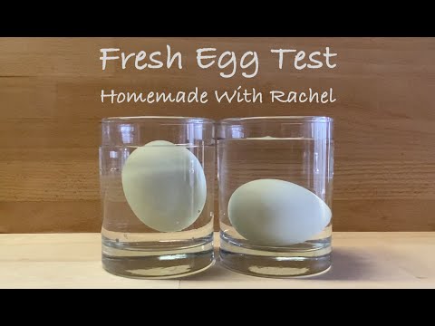 Fresh Egg Test - Sink or Float