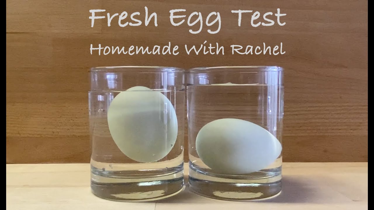 For by freshness floating test eggs Egg Float