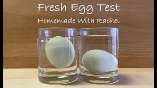 Fresh Egg Test - Sink or Float