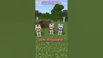mojang is making PETS DISAPPEAR 😭