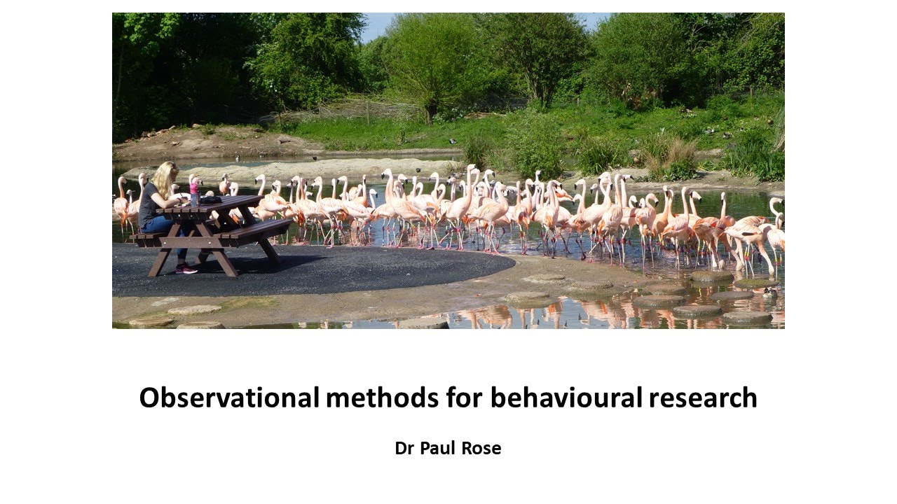 Observational methods for behavioural recording