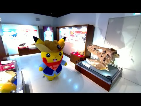 新着 動画 朝日新聞デジタル