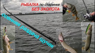 :       ,  . JS company BIXOD N B3 BC702MH-X !!!