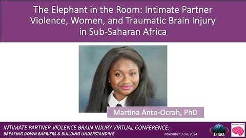 IPV-BI Conference 2024: Intimate Partner Violence, Women, and TBI in Sub-Saharan Africa