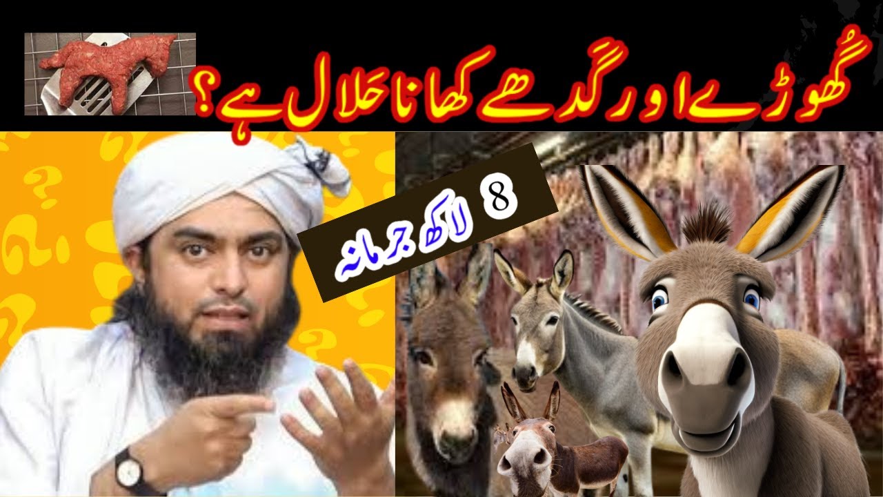 🔥 Donkey Meat Scandal ? ❤️ Reply to Sahil Adeem حفظہ اللہ on Halal & Haram ? 