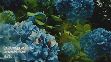 Sarah McLachaln - Long Road Home (Official Visualizer)