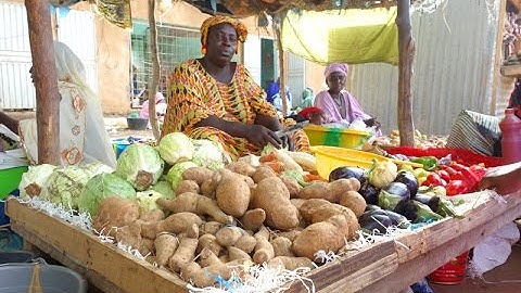 FEWS NET : 25 years of food security analysis and early warning