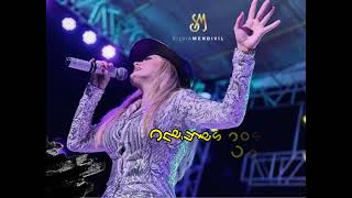 Recuerdos, Tristeza Y Soledad (Letra) (En Vivo) Silvia Mendivil Con Pequeño Norte
