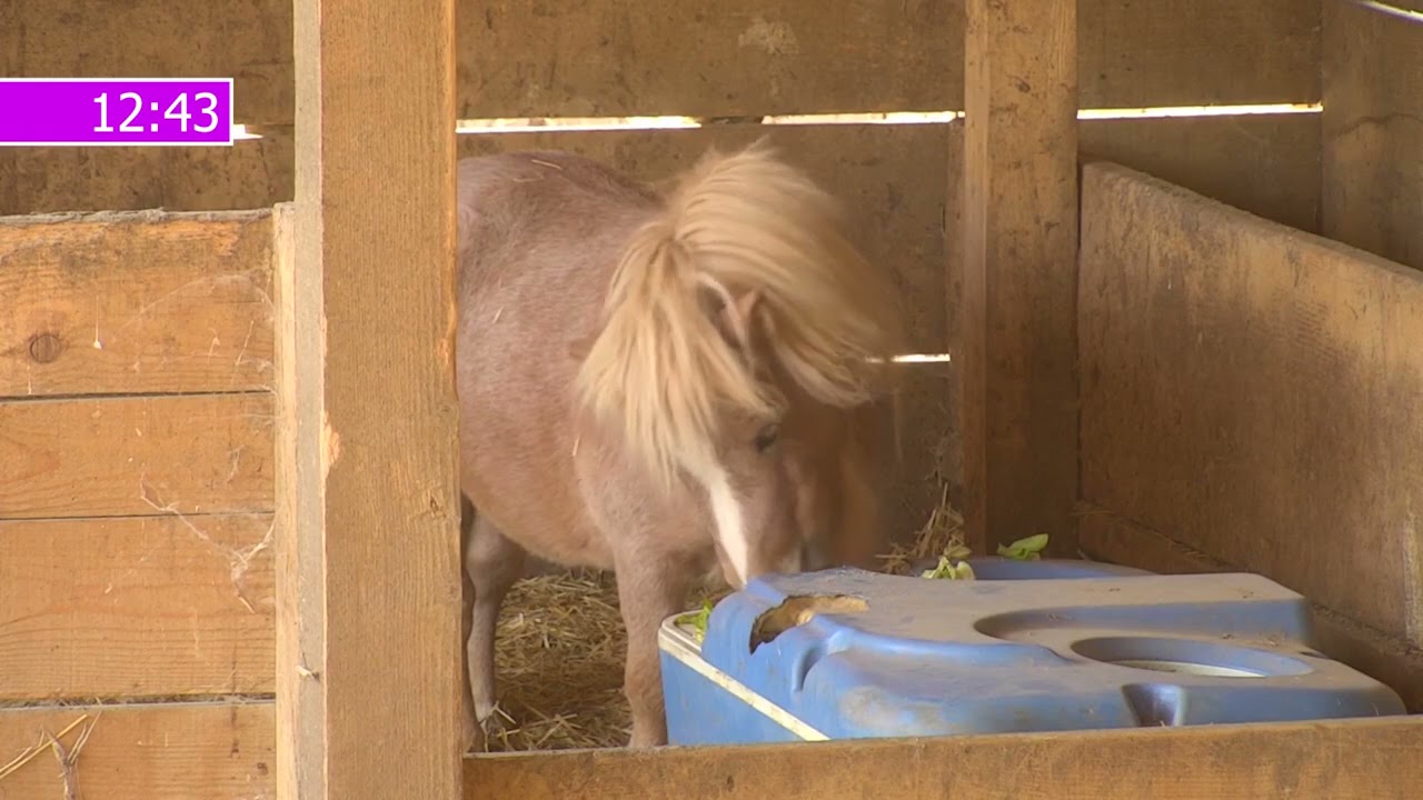 Zadruga 4 - Pregled 247 dana - 12.05.2021.