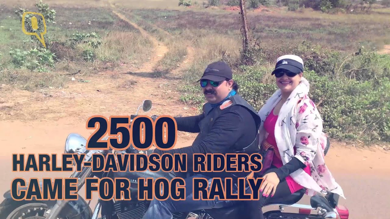 Here’s Why the ‘Brotherhood’ of Harley-Davidsons Will Impress You