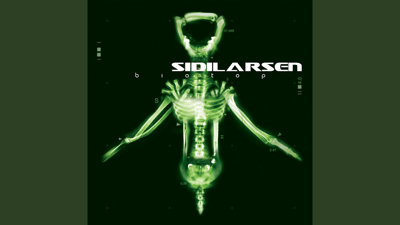 Watch Sidistation on YouTube Watch Sidistation on YouTube