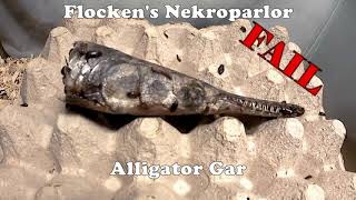 Alligator Gar Fish \ Flesh Eating Beetle FAIL!!