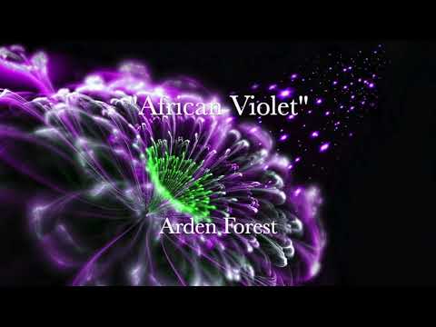 31 - "AFRICAN VIOLET" - Arden Forest.