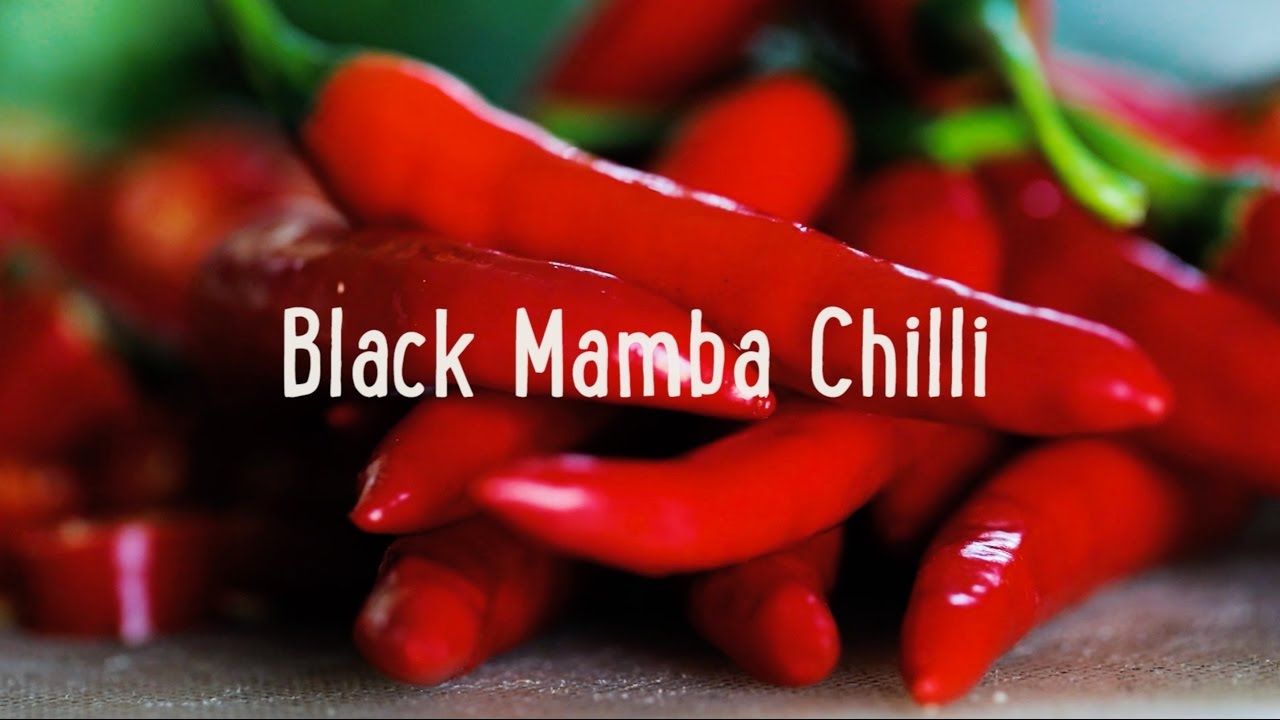 Black Mamba Chilli - YouTube
