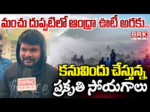 Araku Valley: మంచు దుప్పటిలో ఆంధ్రా ఊటీ అరకు..కనువిందు చేస్తున్న ప్రకృతి సోయగాలు| AP Tourism - TV9