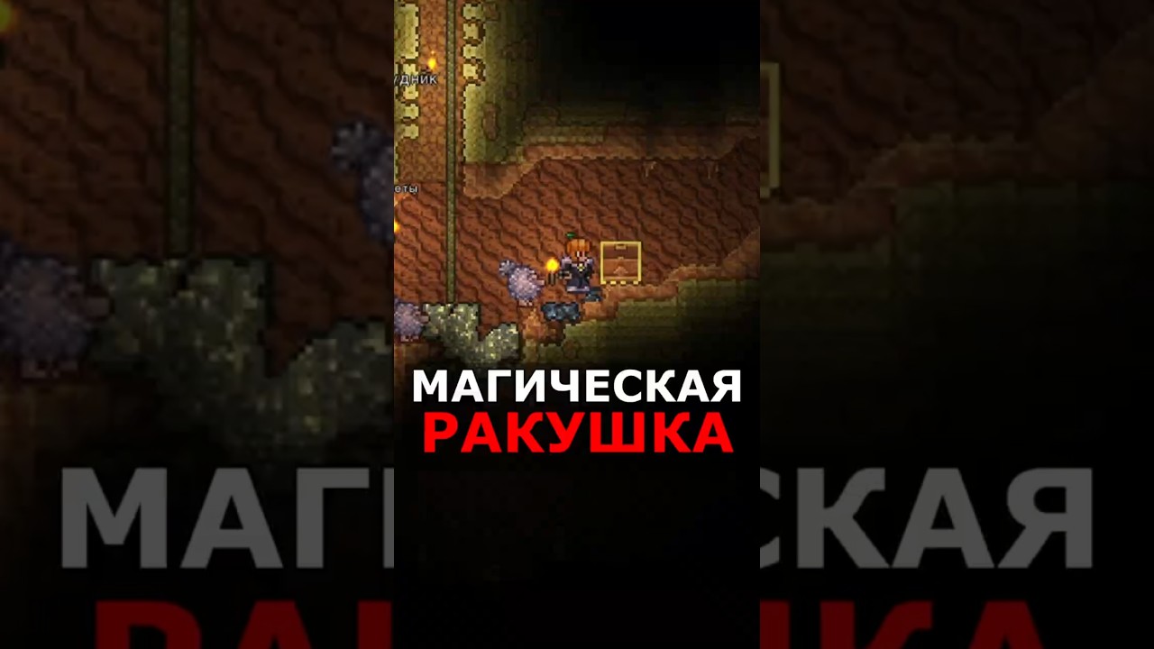 Магическая Ракушка /// Terraria Новичок