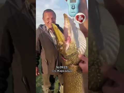 Вот это рыбалка.