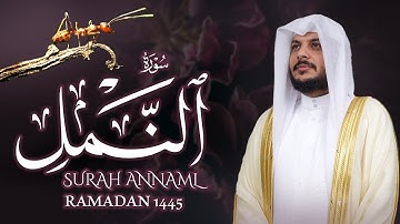روائع الشيخ هيثم الدخين || تلاوة شجية لسورة النمل