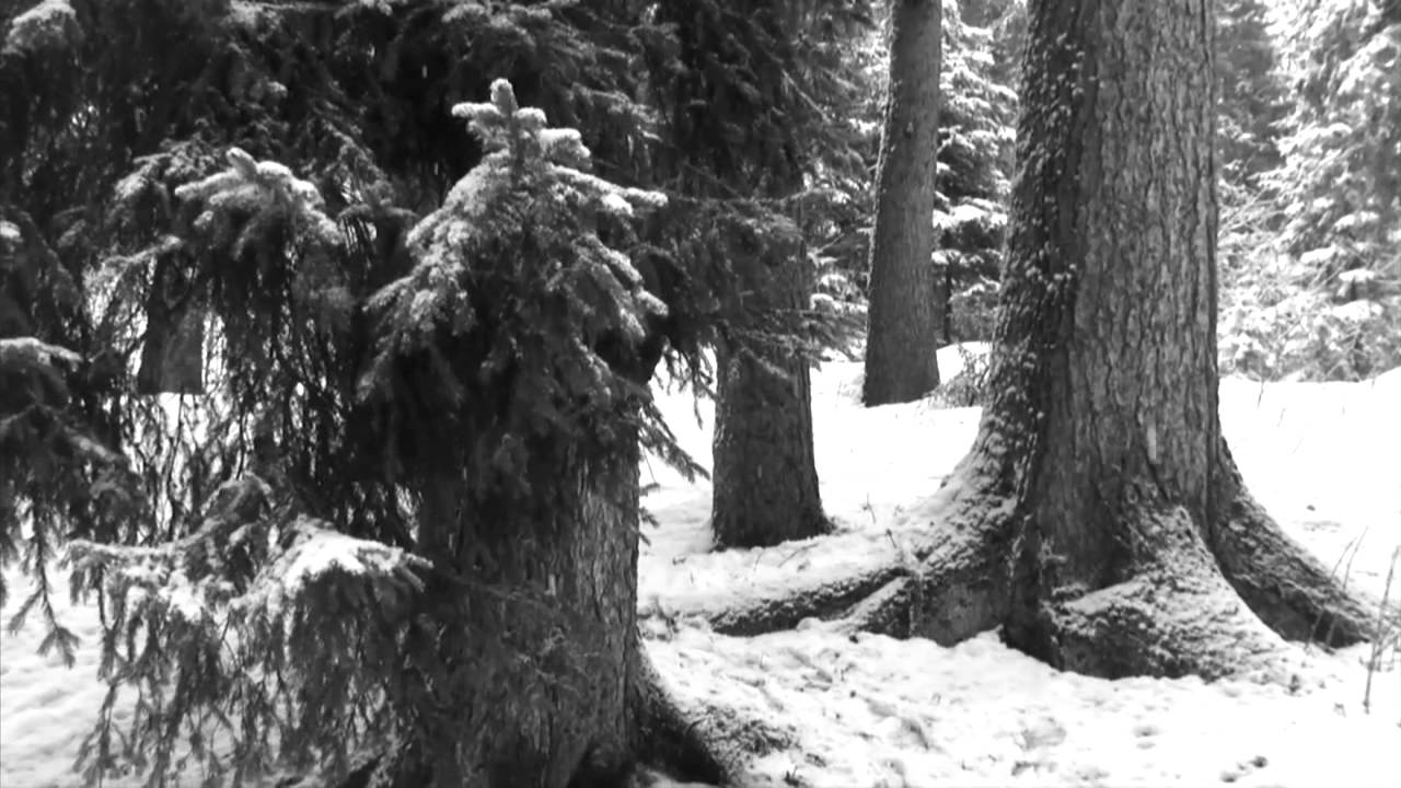 I HAN AN TRAUM (Musikvideo / Projektarbeit Schule Vaz/Obervaz)