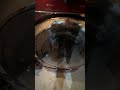 Samsung Dryer Repair 🔧 by Hamilton Appliance Repair - Same Day Fix